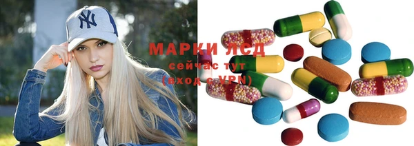 крисы Алзамай